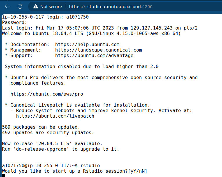 AWS_RONIN_shell_log_in_OK