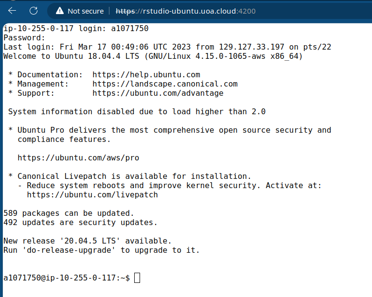 AWS_RONIN_shell_in_a_box_prompt