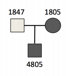 Trio pattern