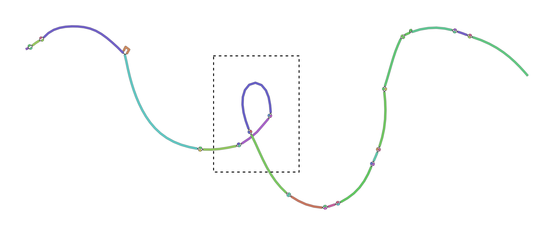 "Bandage plot of hla multiple sequence alignment graph"