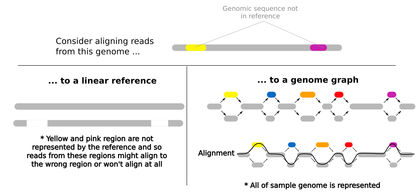 "Alignment to a reference vs alignment to a graph"