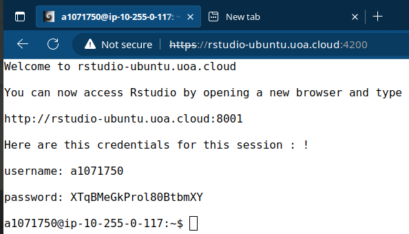 Rstudio_credentials_from_shell