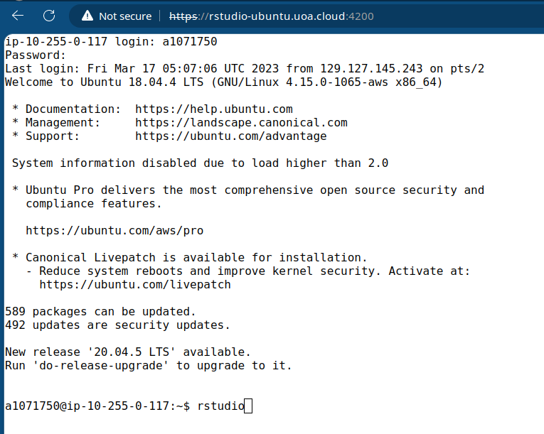 AWS_RONIN_shell_in_a_box_rstudio