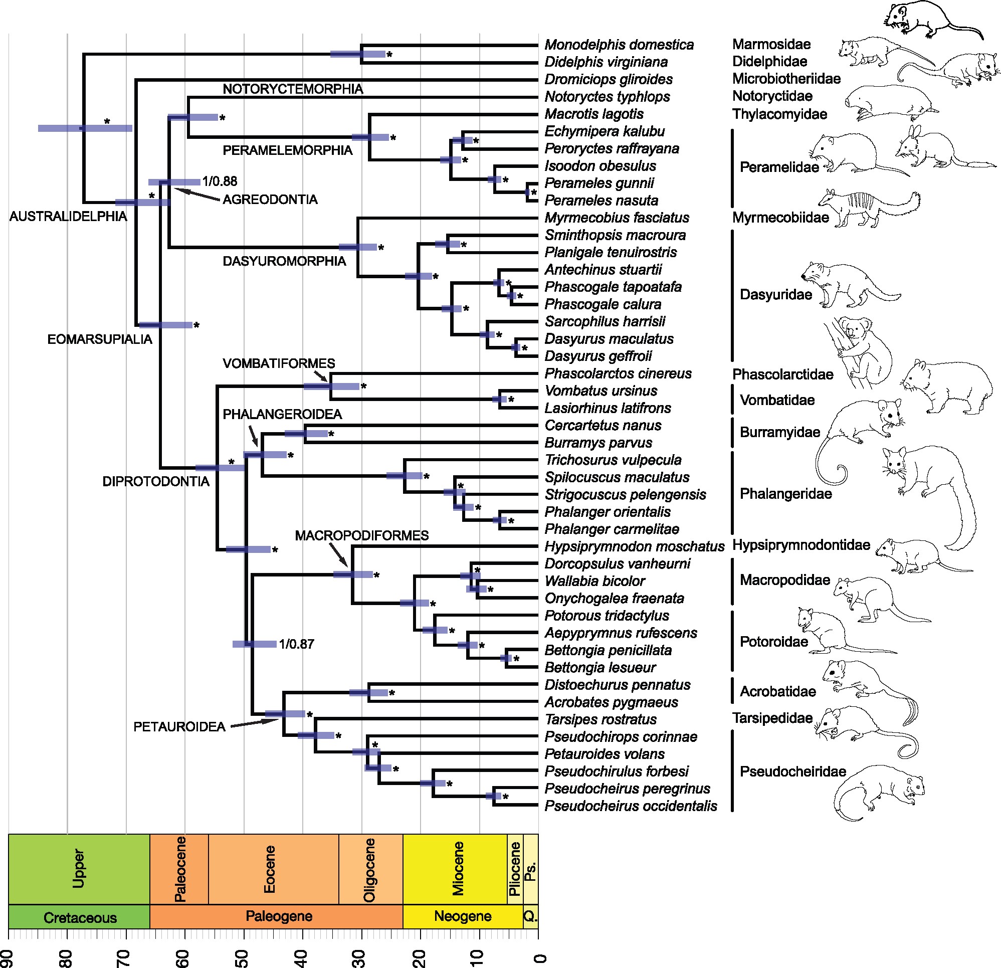 Decker *et al.* 2009 10.1073/pnas.0904691106
