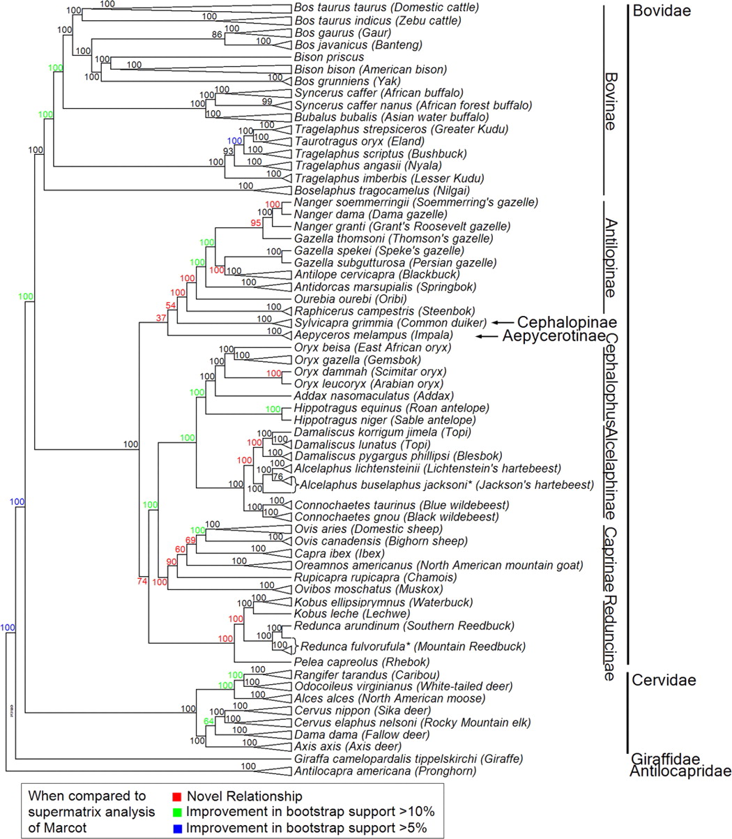 Decker *et al.* 2009 10.1073/pnas.0904691106