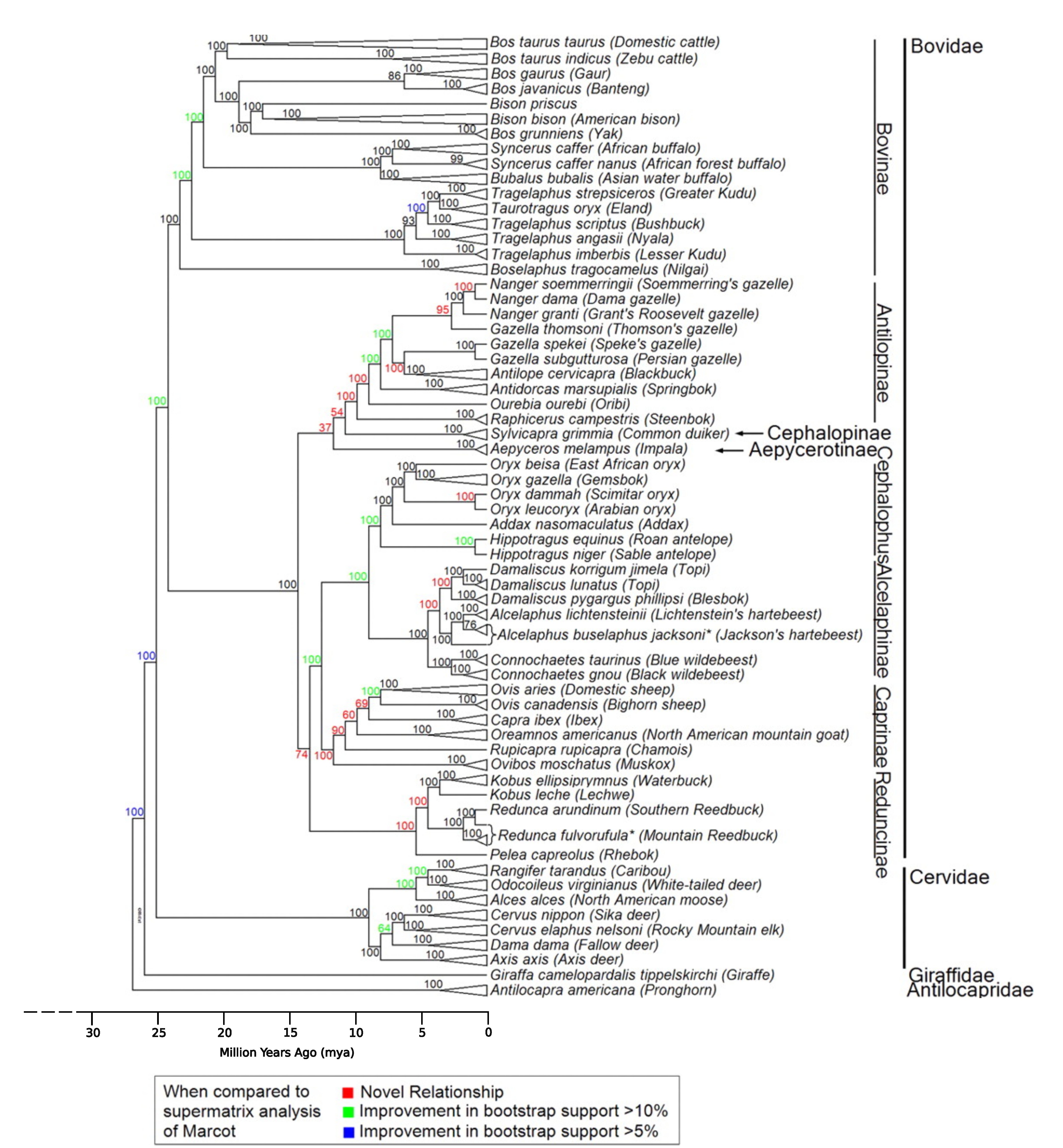 Decker *et al.* 2009 10.1073/pnas.0904691106
