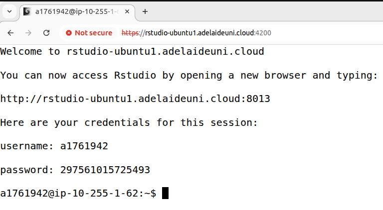 Rstudio_credentials_from_shell