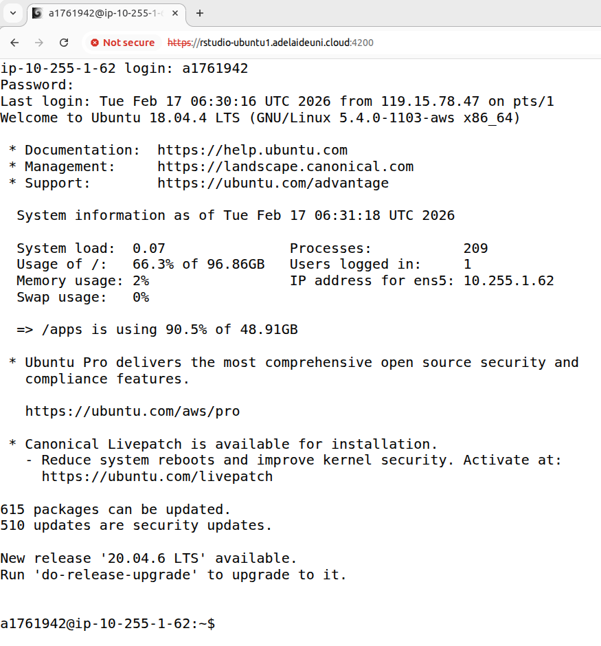 AWS_RONIN_shell_in_a_box_prompt