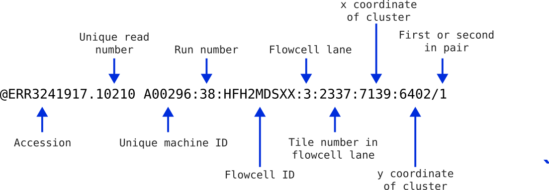 ERR2341917 Illumina read identifier