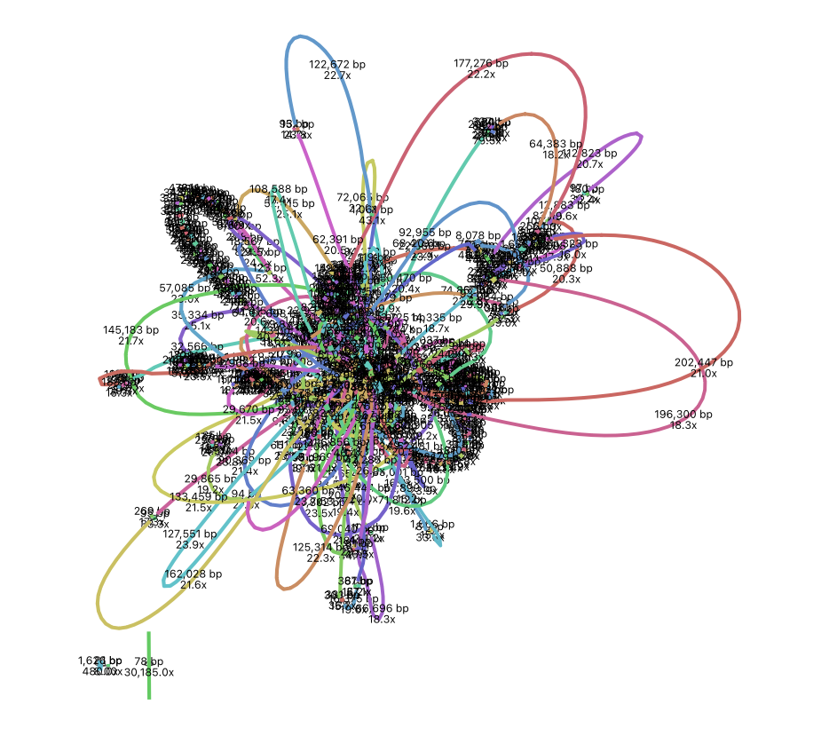 Short-read Genome Assembly | Bioinformatics_Overview